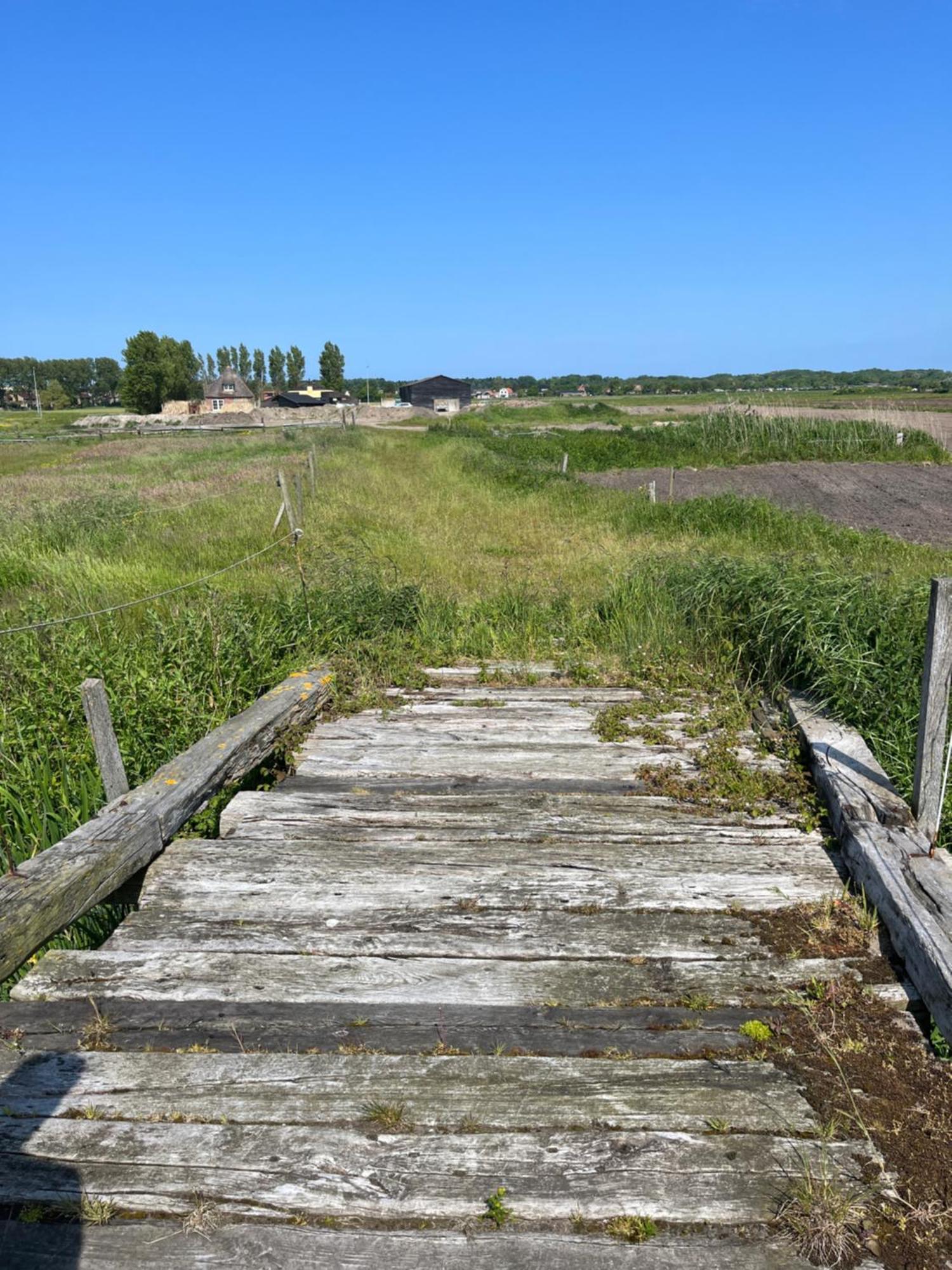 Vakantiehuis Aan Zee Egmond aan Zee Eksteriør bilde
